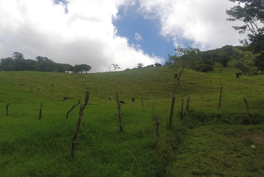 property-las-nubes-ocean-view-6